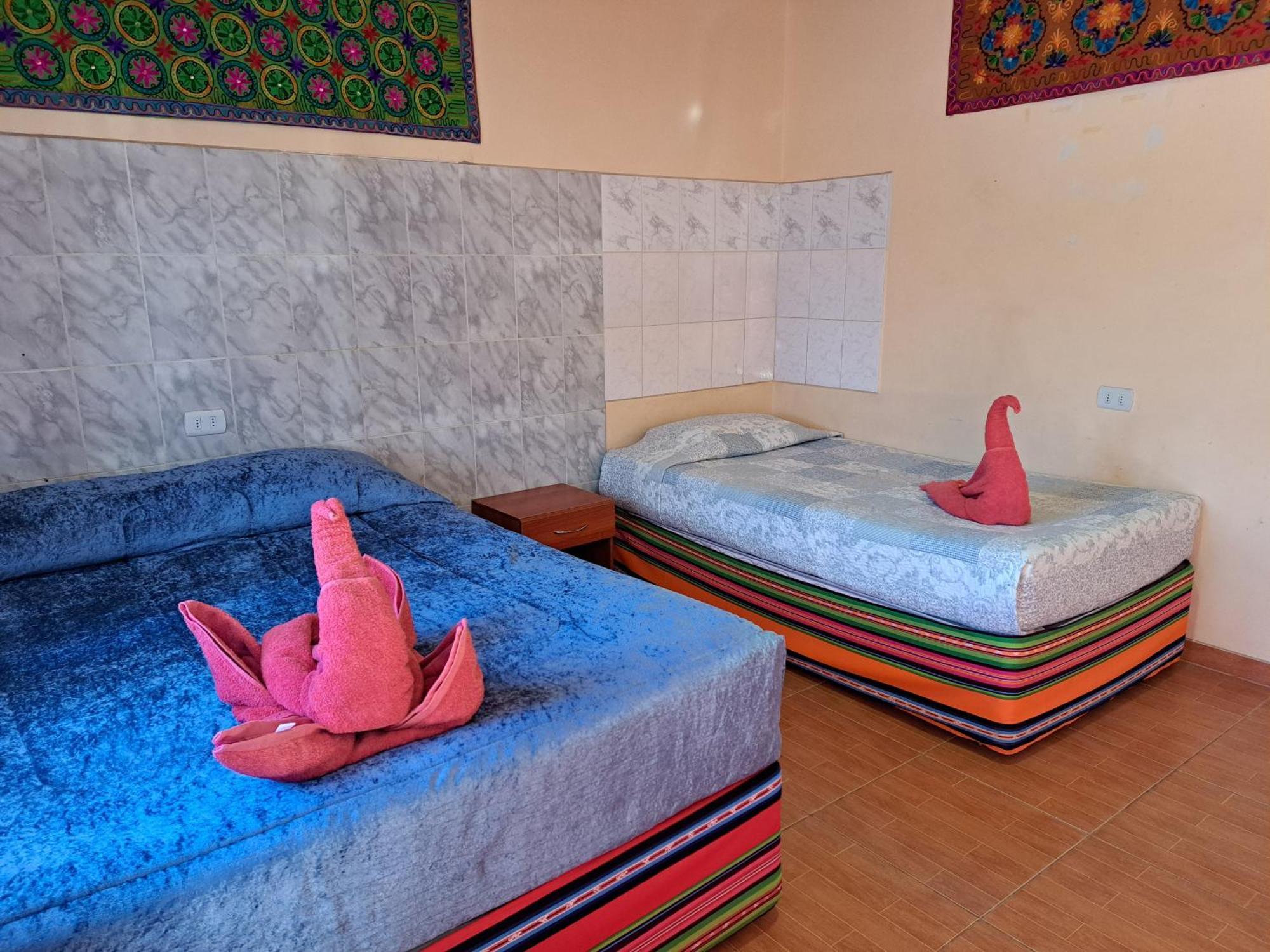 Hostal El Amigo Lucho San Pedro de Atacama Oda fotoğraf